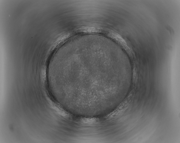 X0000110860202200907021422