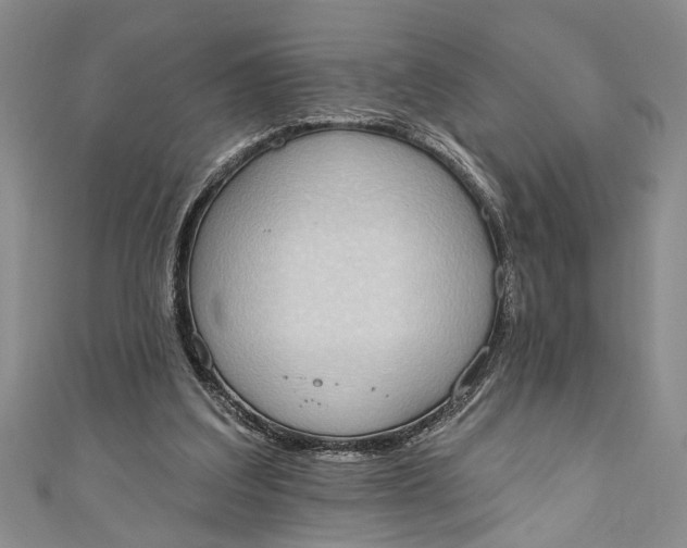 X0000110860203200907021422