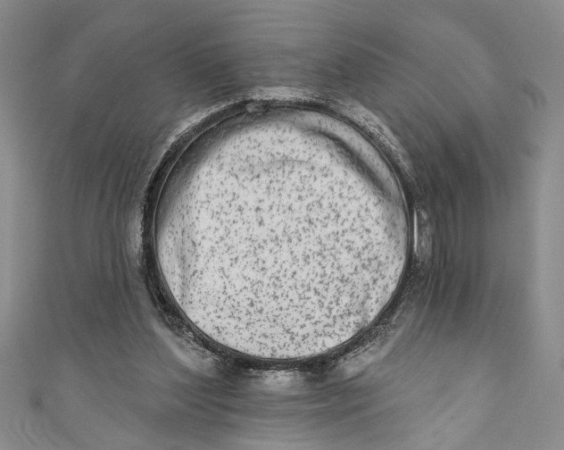 X0000110860204200907021422