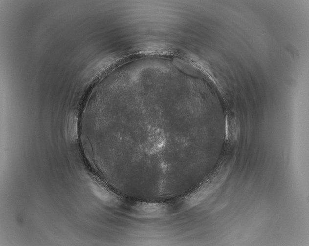 X0000110860205200907021422