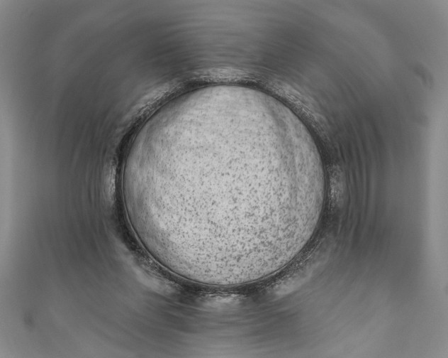 X0000110860206200907021422