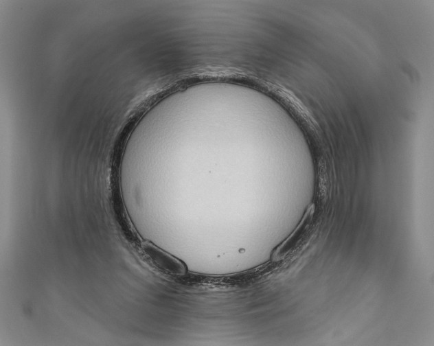 X0000110860207200907021422