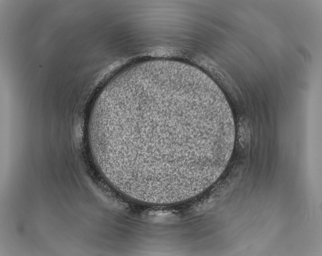 X0000110860208200907021422