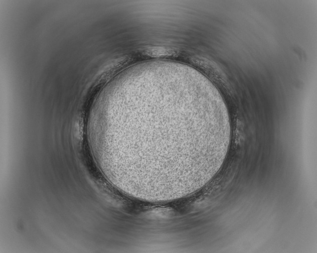 X0000110860210200907021422