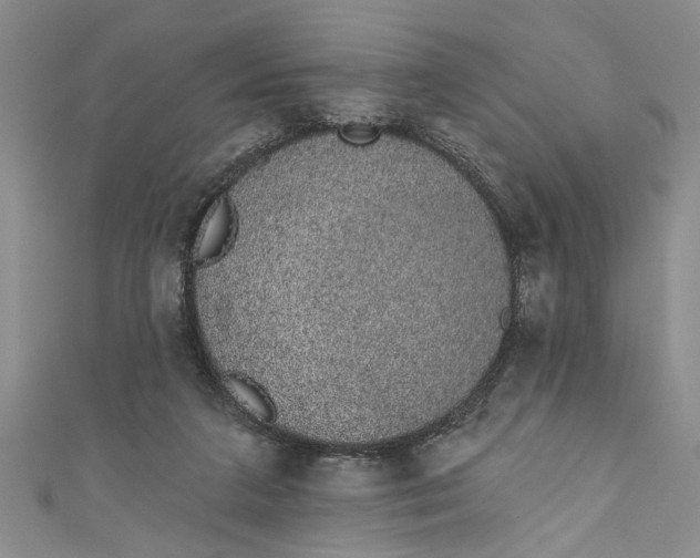 X0000110860211200907021422