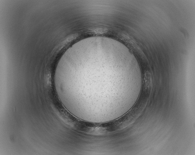 X0000110860212200907021422