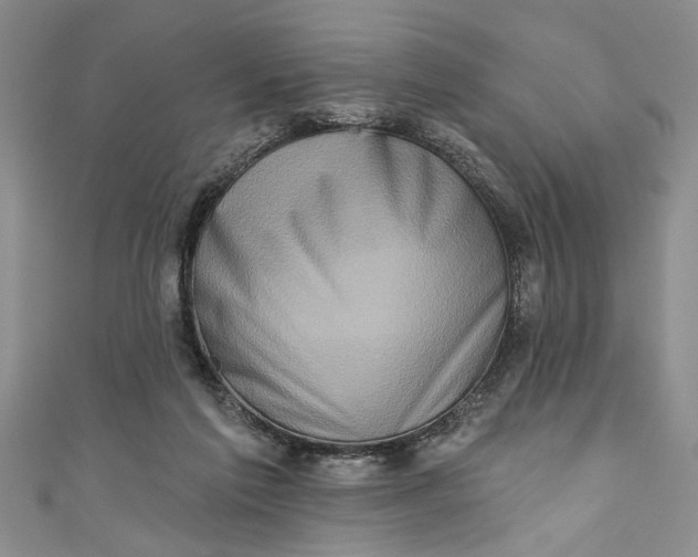 X0000110860213200907021422