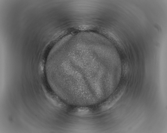 X0000110860214200907021422