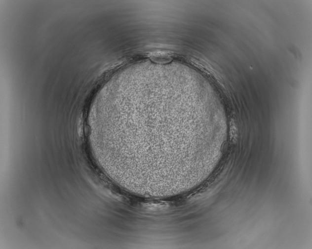 X0000110860215200907021422