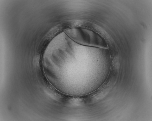 X0000110860217200907021422