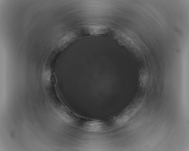 X0000110860219200907021422