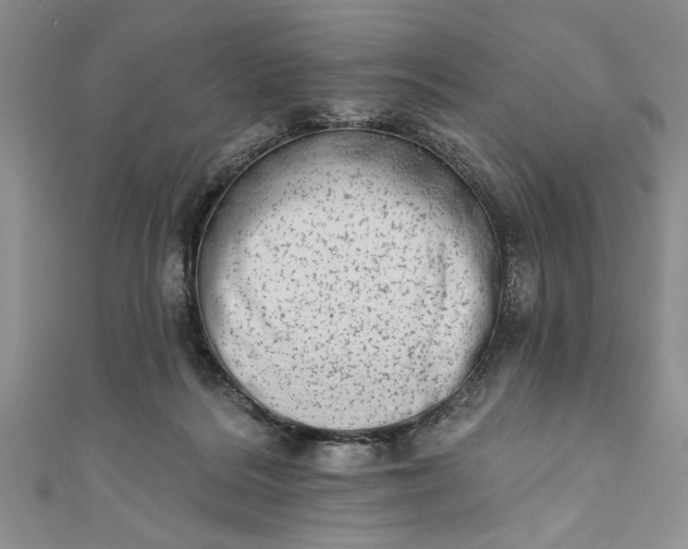 X0000110860220200907021422