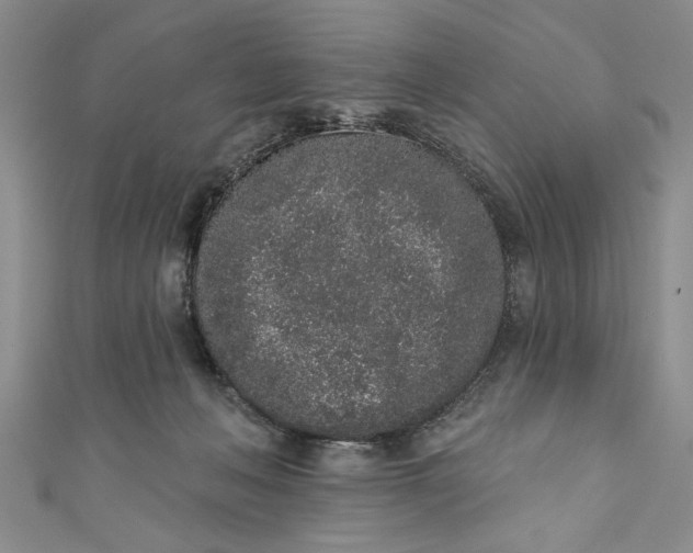 X0000110860222200907021422