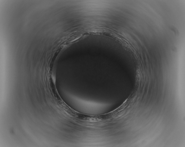 X0000110860223200907021422