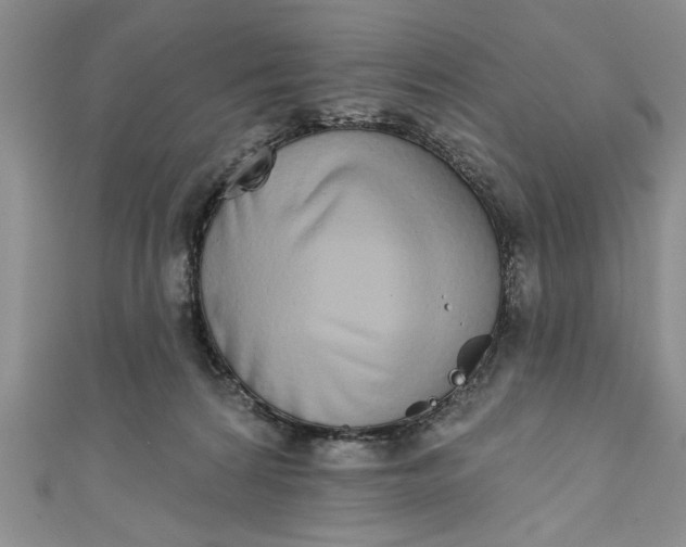 X0000110860224200907021422