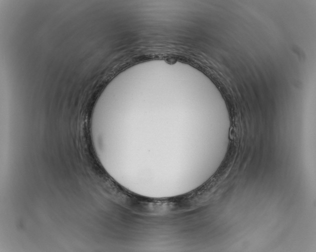 X0000110860225200907021422