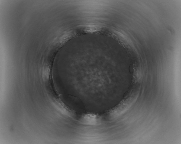 X0000110860227200907021422