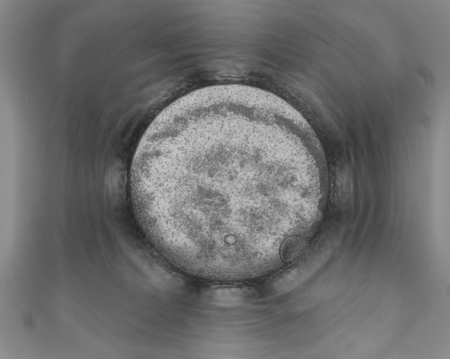 X0000110860228200907021422