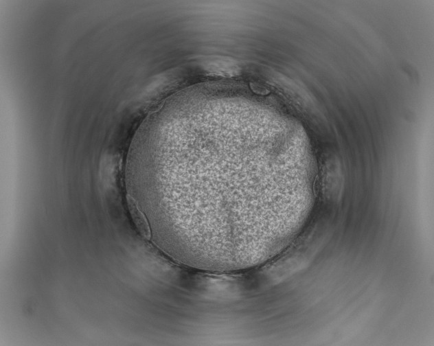 X0000110860229200907021422