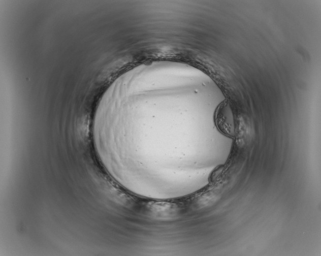 X0000110860230200907021422