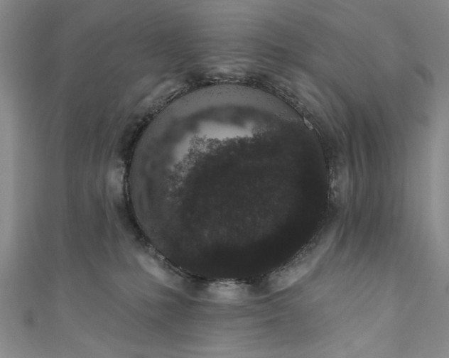 X0000110860231200907021422