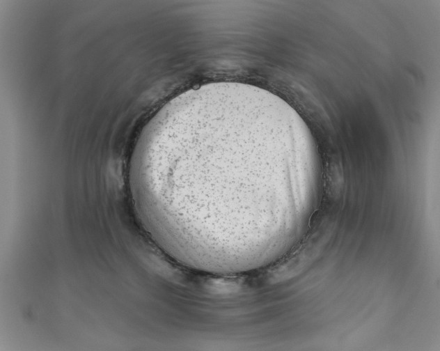 X0000110860232200907021422