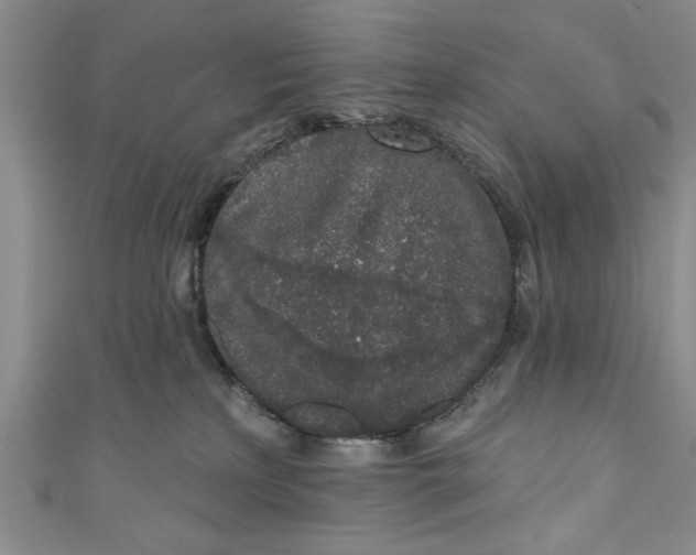 X0000110860233200907021422