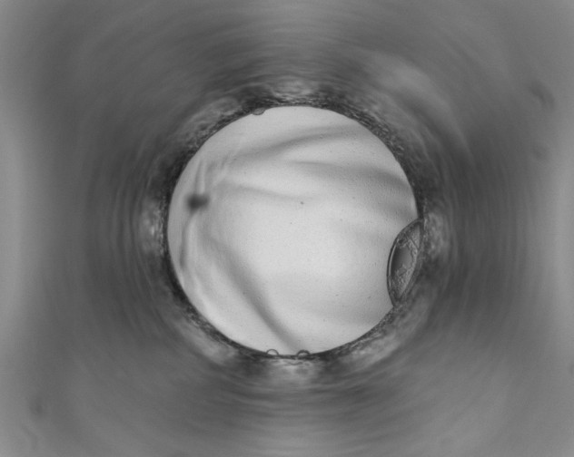 X0000110860234200907021422