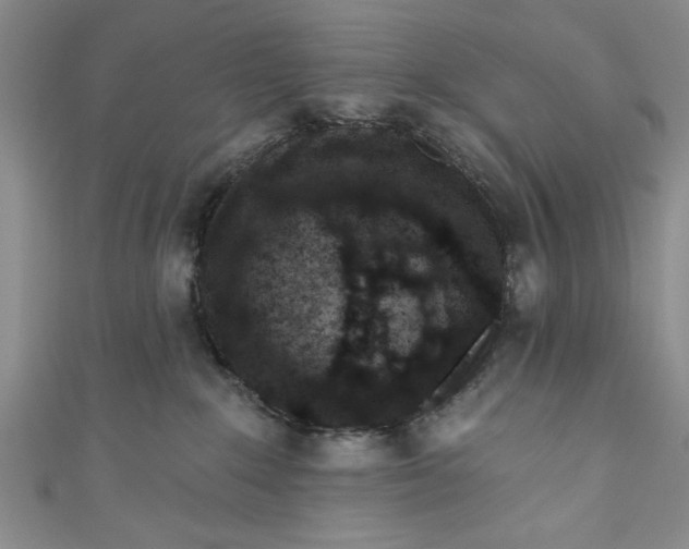 X0000110860235200907021422