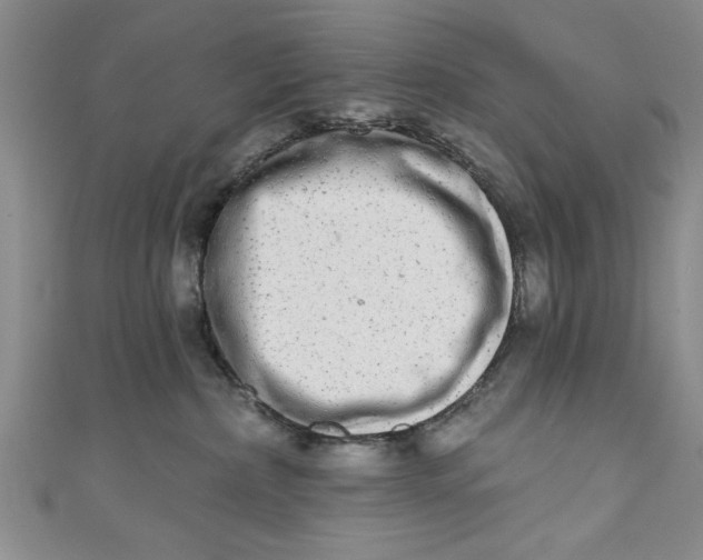 X0000110860236200907021422