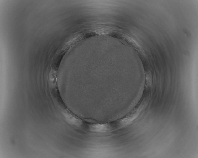 X0000110860237200907021422