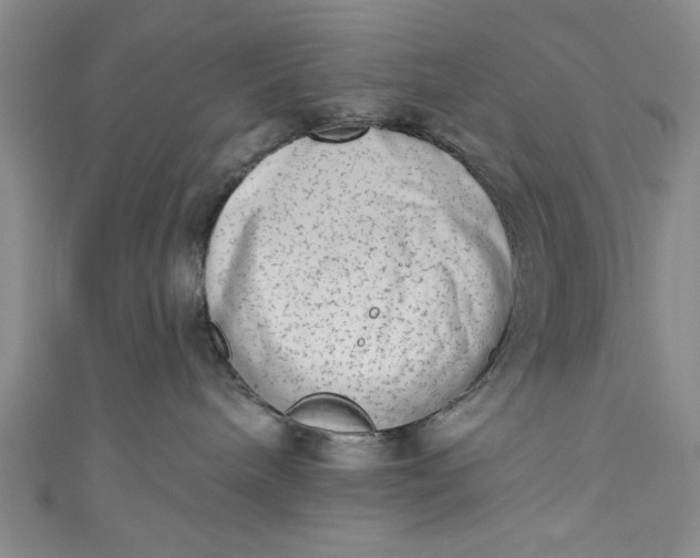 X0000110860240200907021422