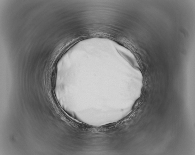 X0000110860241200907021421