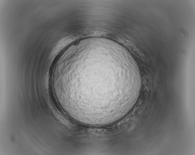 X0000110860242200907021421