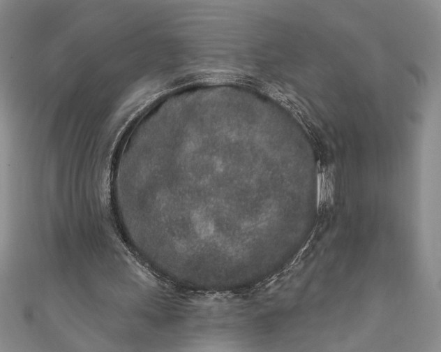 X0000110860243200907021421