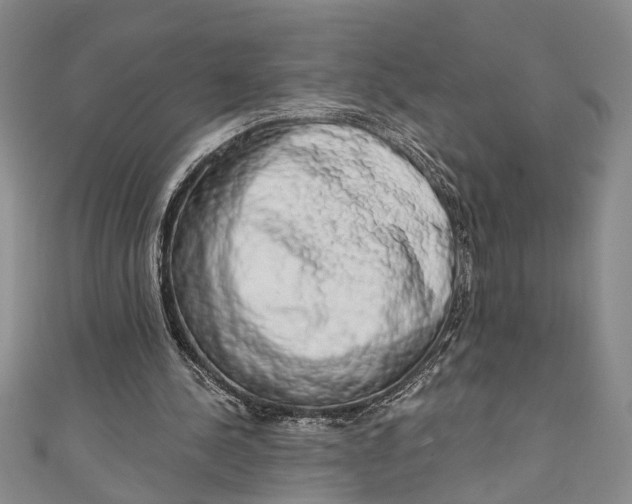 X0000110860244200907021421