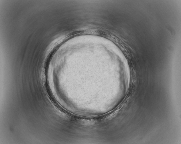 X0000110860245200907021421