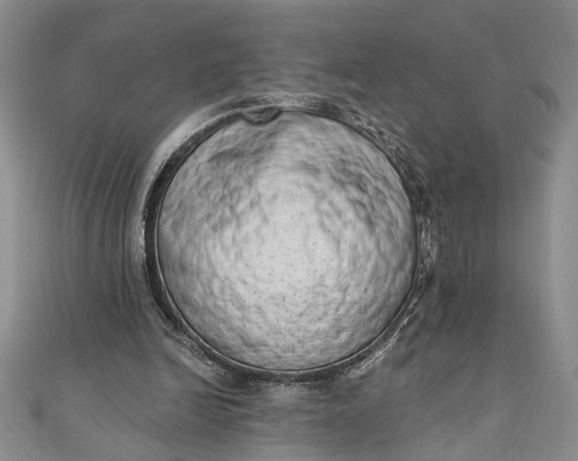 X0000110860246200907021421