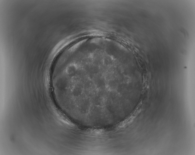 X0000110860247200907021421