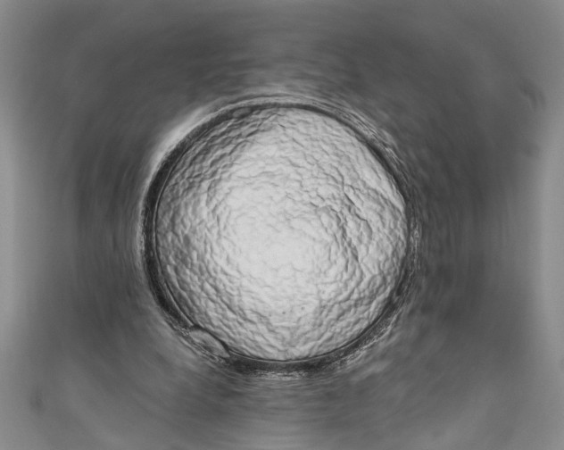 X0000110860248200907021421