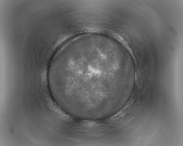 X0000110860249200907021421