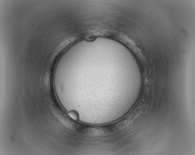 X0000110860250200907021421