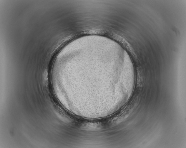 X0000110860251200907021421