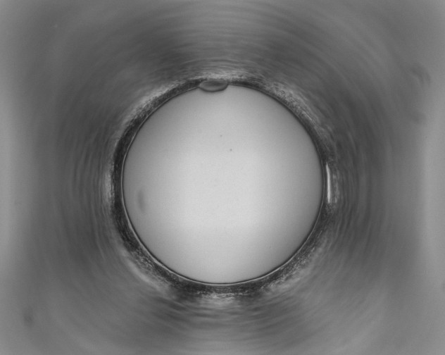 X0000110860252200907021421