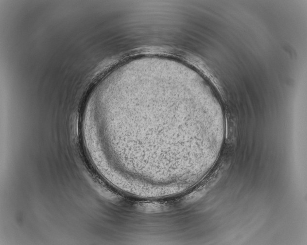 X0000110860253200907021421