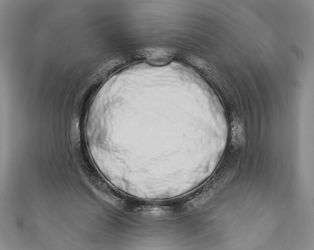 X0000110860254200907021422