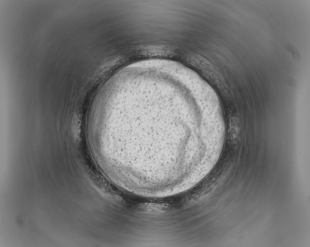 X0000110860255200907021422