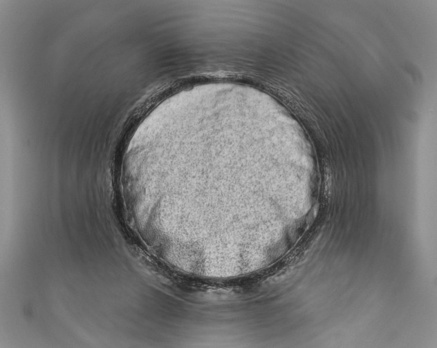 X0000110860256200907021422