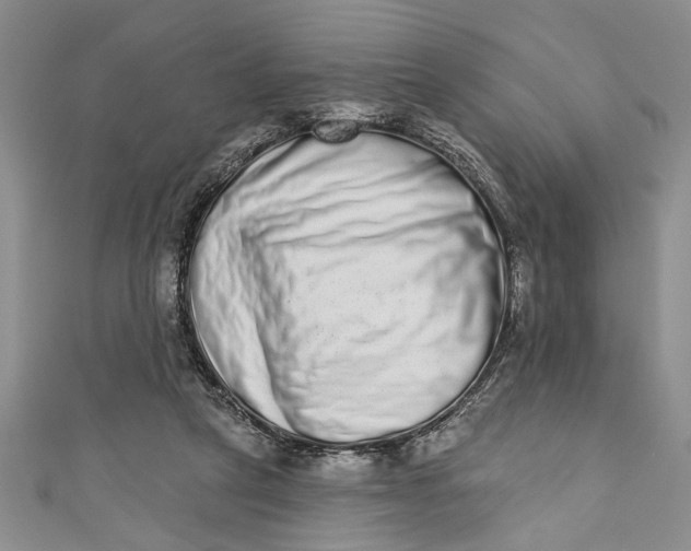 X0000110860257200907021422