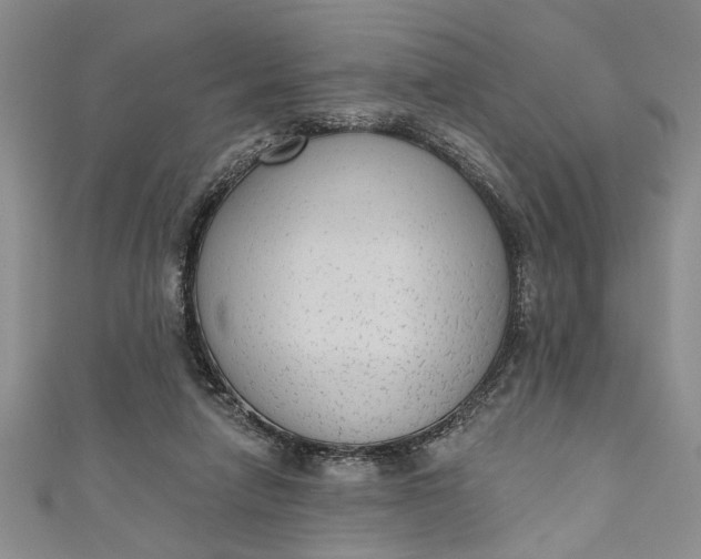 X0000110860258200907021422